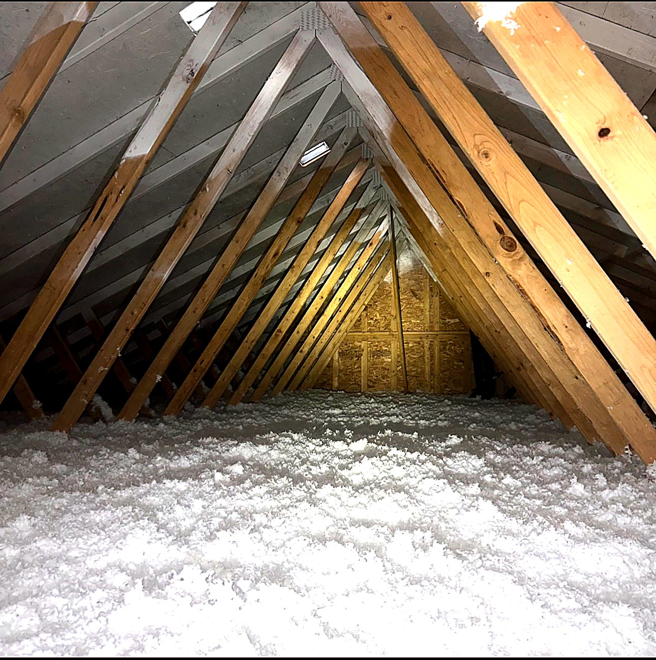 Attic trusses over freshly blown insulation