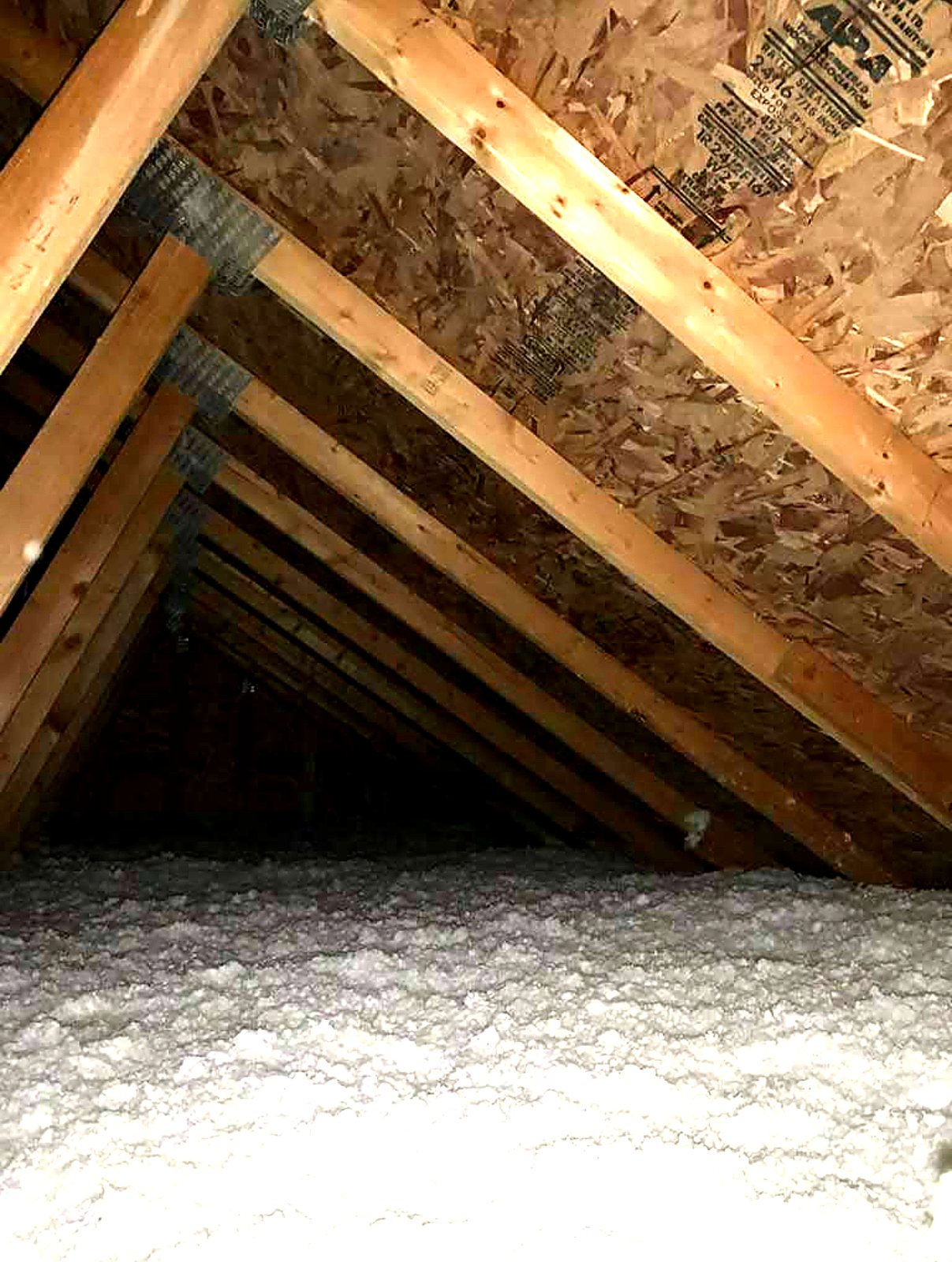 Attic framing above a fresh blown-in layer