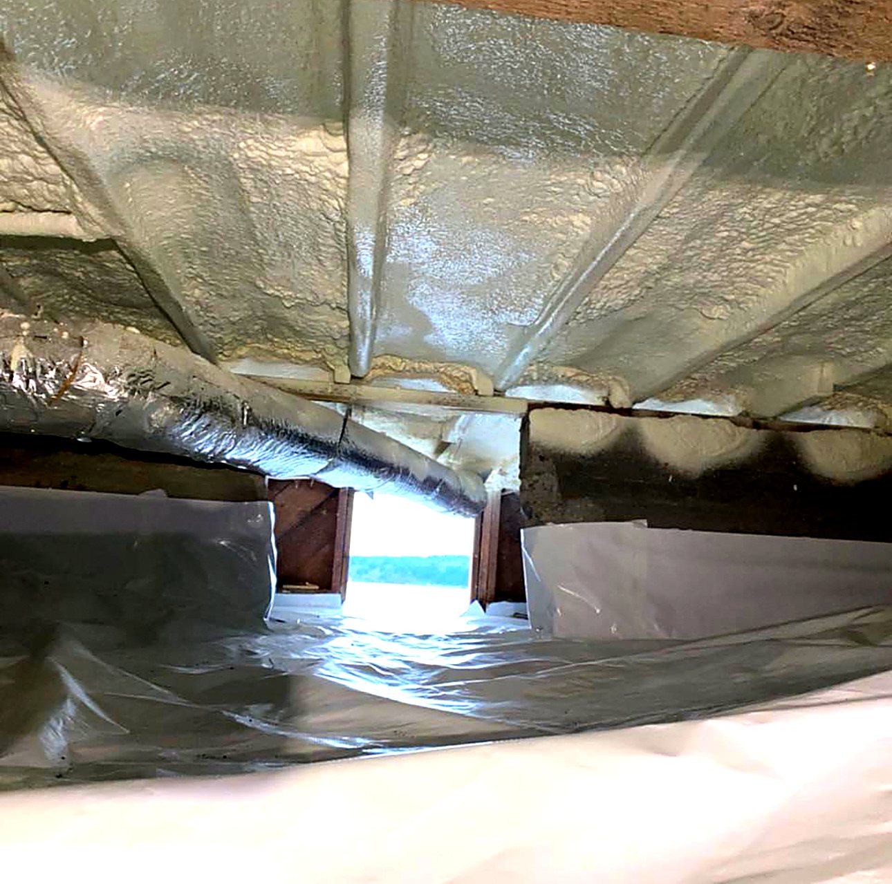 Sealed crawl space with reinforced liner
