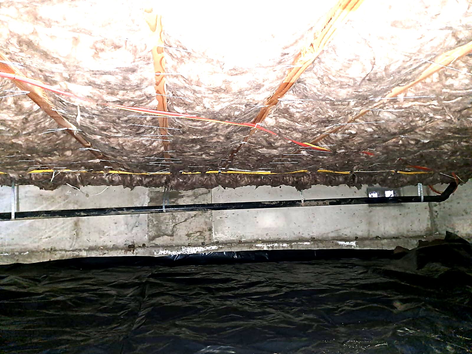 Failed insulation over standing water in a crawl space