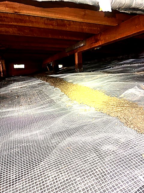 Crawl space vent screen inspected during assessment